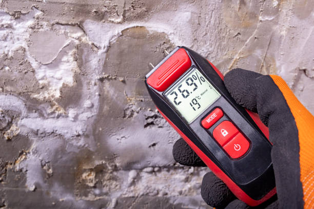 Best Emergency Mold Removal  in Sidy, NE