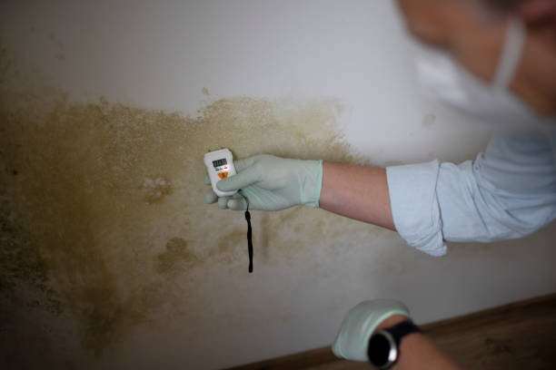 Best Mold Testing  in Sidy, NE